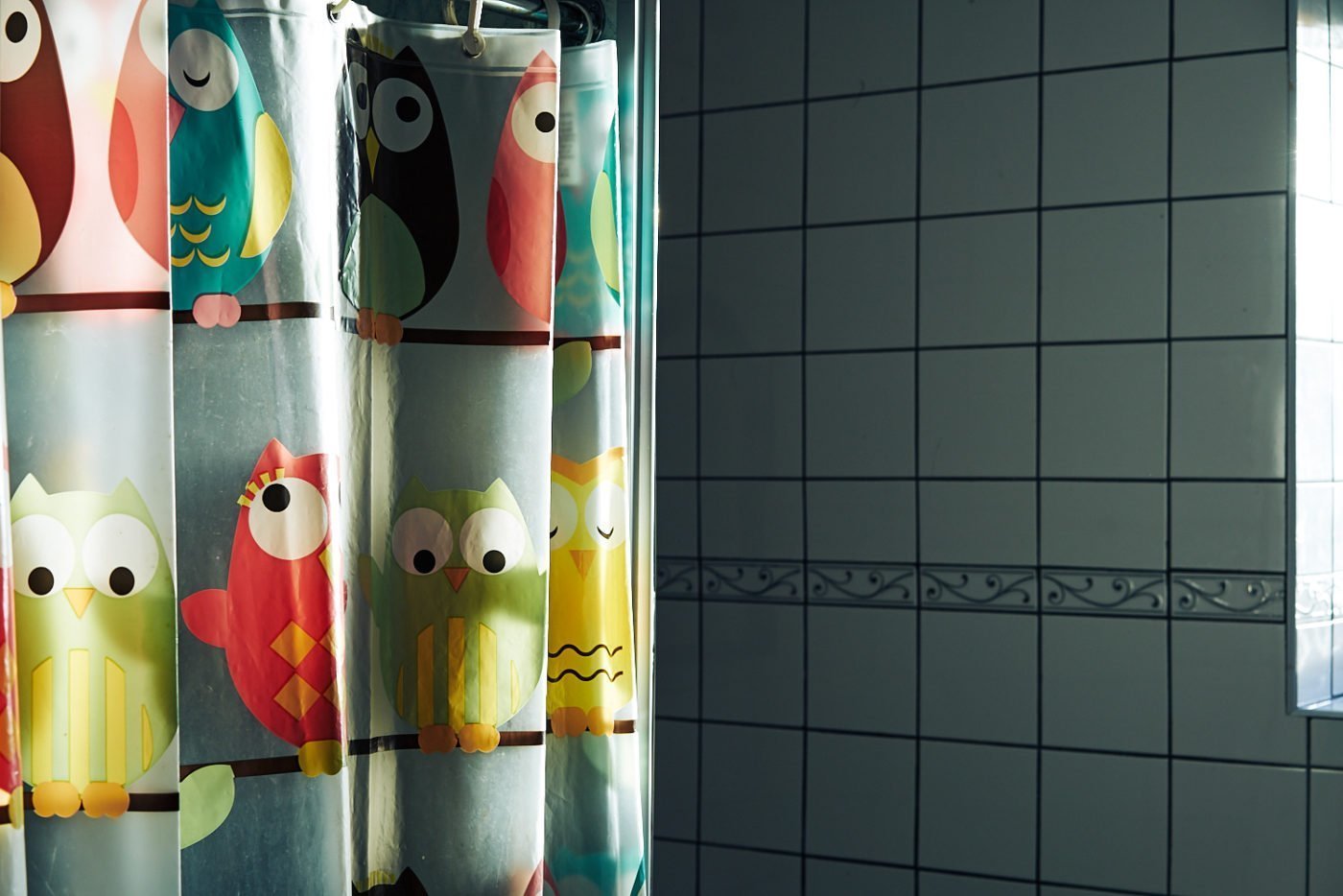 Shower Curtain