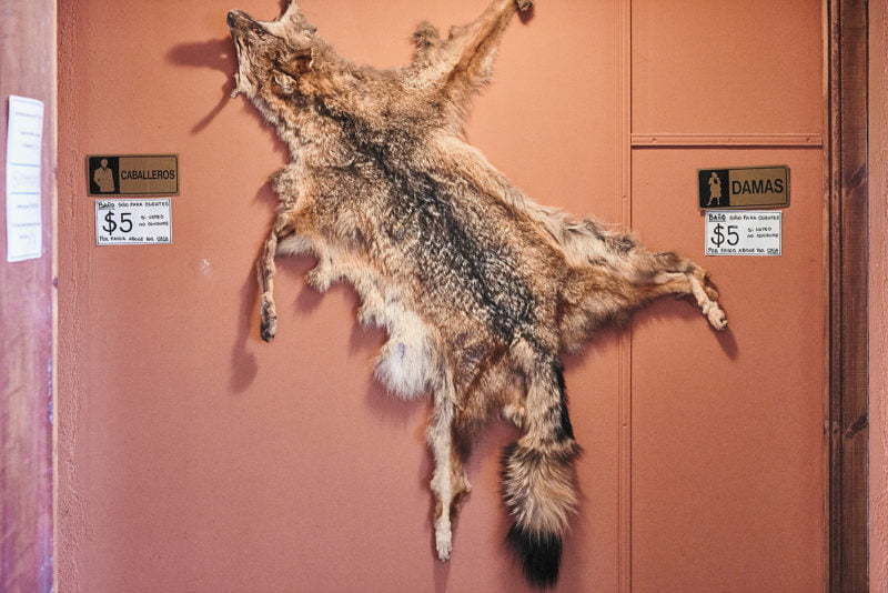 Animal Skin