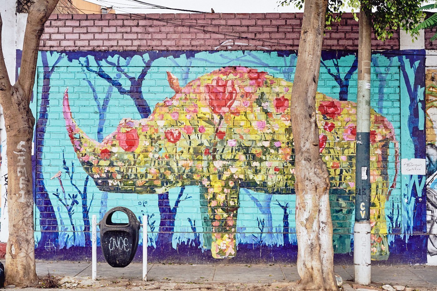 Rhino Hiding in Plain Sight