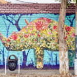 Rhino Hiding in Plain Sight