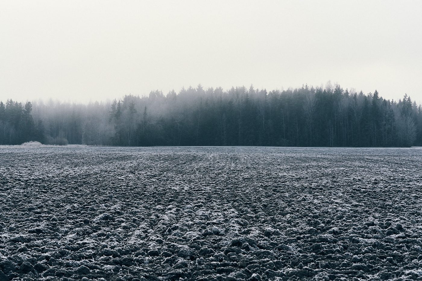 Finland 96
