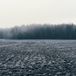 Finland 96