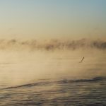 Seascape